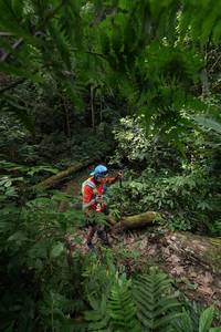 BIB: 
                            <button type="button" onclick="openModal(16029661)" class="btn btn-primary btn-sm float-right btn-popup" data-toggle="modal" data-target=".modal-high-quality">
                        <i class="fas fa-shopping-cart"></i> Add to Cart
                    </button>
                                            <button type="button" onclick="isThisMe(16029661, true)" class="btn btn-success btn-sm float-right btn-popup btn-isme hidden" data-toggle="tooltip" data-placement="bottom" title="นี่คือรูปของคุณใช่ไหม คลิกที่นี่เพื่อเอาเข้าอัลบั้ม">
                        <i class="fas fa-plus"></i> Add to album
                    </button>
                    <button type="button" onclick="isThisMe(16029661, false)" class="btn btn-warning btn-sm float-right btn-popup btn-isnotme hidden">
                        <i class="fas fa-ban"></i> Remove from album
                    </button>